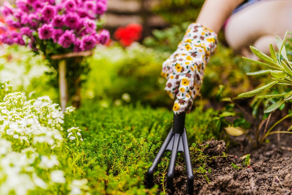 Explore the Montreal Botanical Garden Living Sculptures 2019: Art Meets Nature