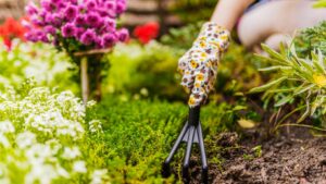 Read more about the article Explore the Montreal Botanical Garden Living Sculptures 2019: Art Meets Nature